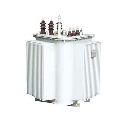 S13 S14 MRL 유입 변압기 10/0.4KV 30-1600KVA